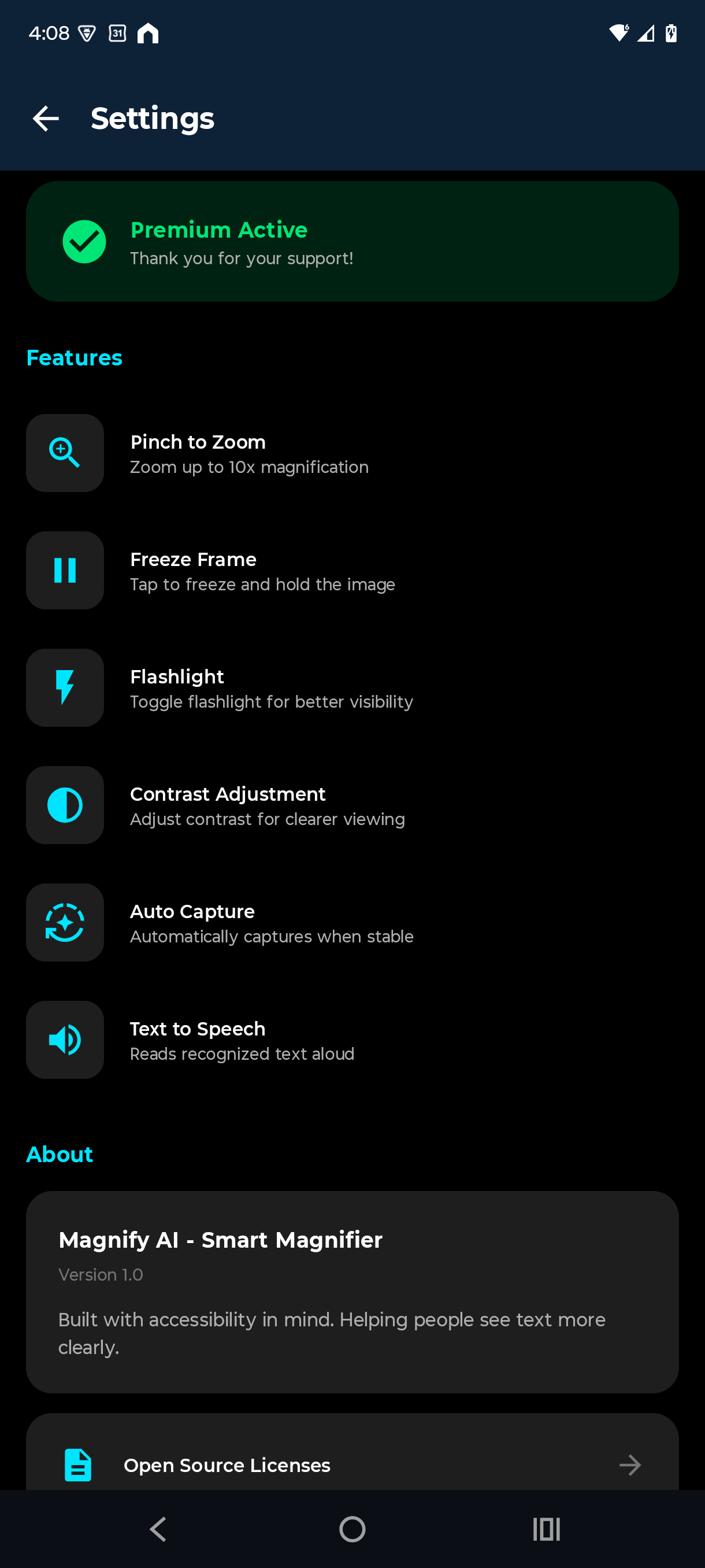 Magnify AI settings and accessibility options